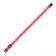 Collar "paws-capacity" with a bell, kapron, 30 x 1 cm, red