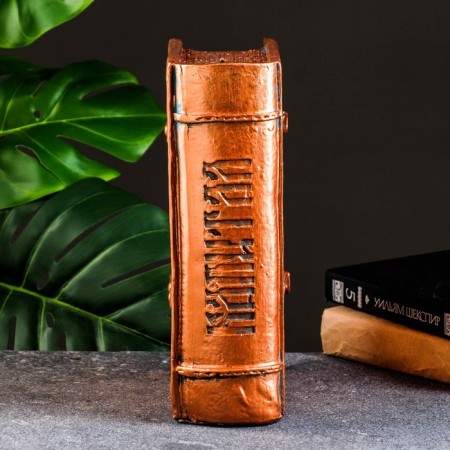 Piggy bank "Book" Capital "copper, 27x19cm-1