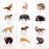 Training cards according to the method of Glen Doman "Wild Animals", 12 cards, A6, 0+