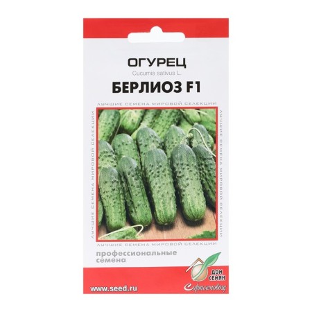 Cucumber seeds "Berlio", F1, 6 pcs