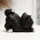 Pig a piggy bank "kitten with a bow" 10cm