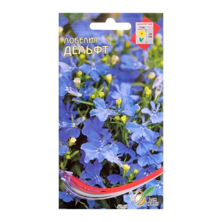 Lobelia flowers "Delft", oh, 1100 pcs