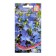 Lobelia flowers "Delft", oh, 1100 pcs