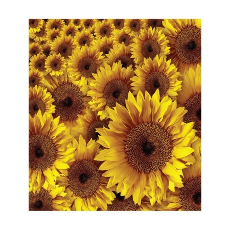 A set of napkins for setting the Sunflower table, rectangular, size 32x46 cm, 4 pcs-2