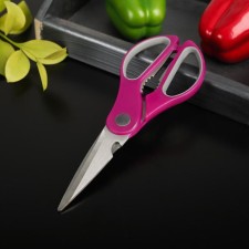 Scissors kitchen shares 