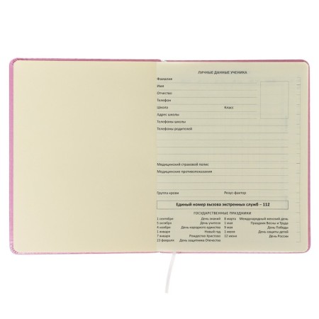 The universal diary for grade 1-11 is true or something?, Firm cover, artificial leather, foam rubber, lies, 80 g/m2-3