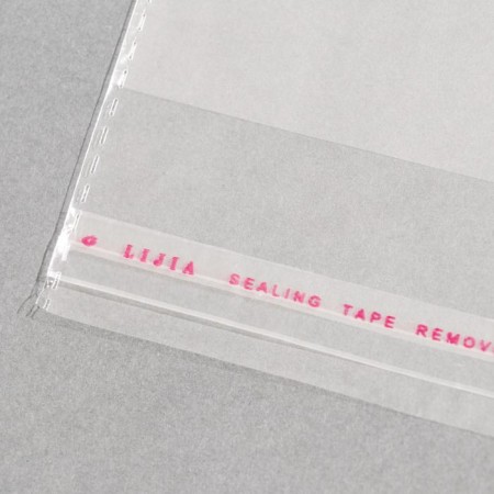 BOPP package with adhesive valve, transparent 20 x 20/4 cm, 25 μm-2
