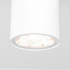 Ceiling lamp (SPOT) ELEKTROSTANDARD, LIGHT LED 4 W, 55x555x110 mm, IP65, white color