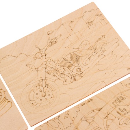 Wood burning set: EVD 20/220 "Disabilities 10k", transport-9