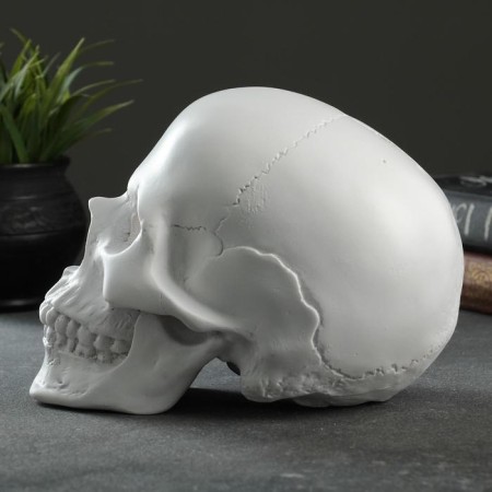 Pigger "Skull" Bely, 16x13x22cm-1