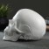 Pigger "Skull" Bely, 16x13x22cm