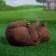 Garden figure "Bear on the side" 28x21x16.5cm