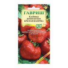 Strawberry seeds 