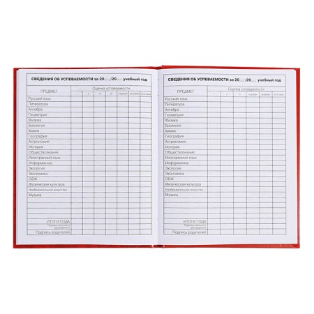 Diary for grades 5-11, 48 sheets of "Russian schoolchildren No. 3", solid cover, glossy lamination, block 60 g/m2-10