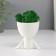 Kashpo concrete mini "Mr. Green on Chile" with moss white 6.5x6x6.5 cm (moss green stabilis)