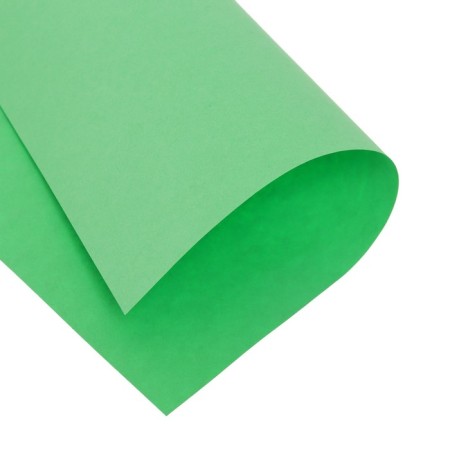 Color A4 500L Calligrata intense green 80g/m2-3
