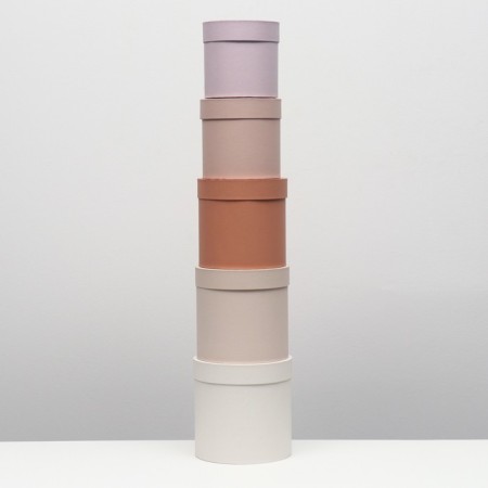 A set of round boxes 5 in 1 "nude", 20 x 20 x 20 - 14 x 14 cm 14 cm-2