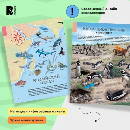 Illustrated Atlas "Seas and Oceans"-4