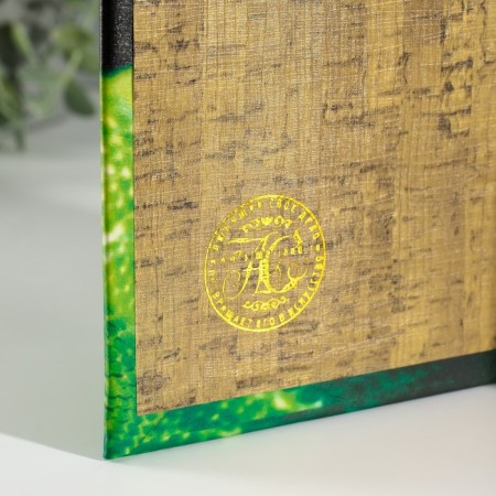 Safe Brove Del to the leatherette "Snake in the jungle" 3d embossing 21x13x5 cm-3