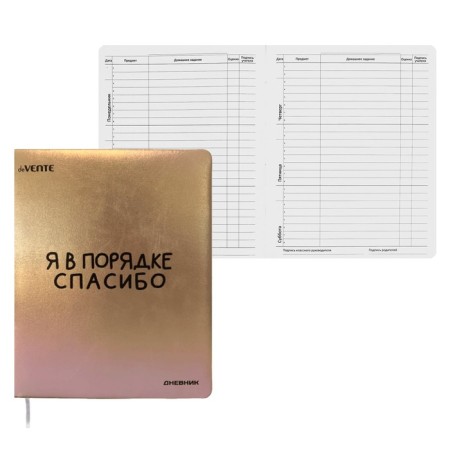 Universal Diary 1-11 grade "I am in order", solid cover, artificial leather, silk-screen printing, lies, block 80 g/m2