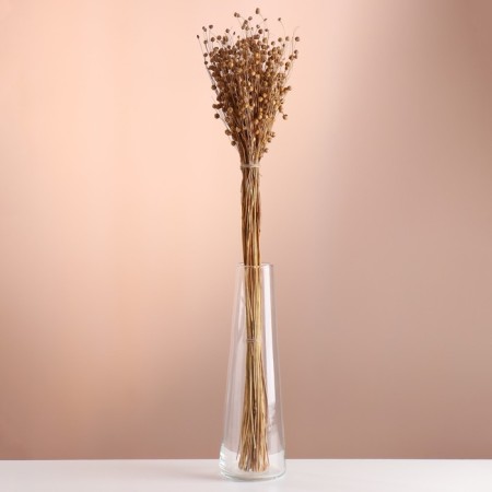 A set of dried flowers "Lenon-debunge", banch length 55-60 (+/- 6 cm), natural