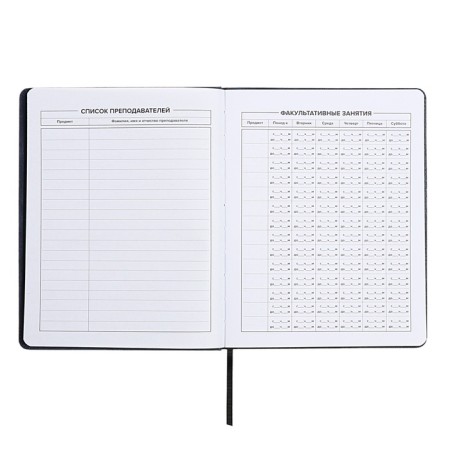School diary for grades 1-11, dragon's eye, hard cover, artificial leather, application, pancake embossing, foil embossing, universal cheat sheet, 48 sheets, block 80g/m2-6
