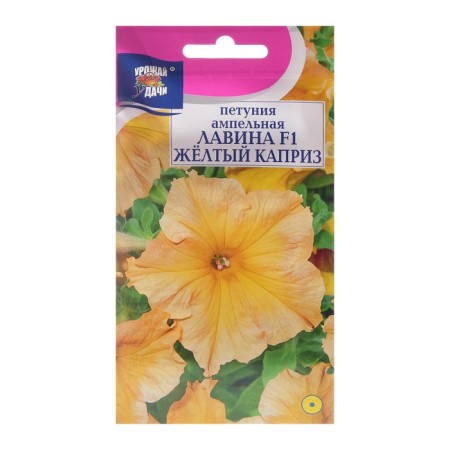 Petunia flowers ampelous "avalanche yellow whim F1", 0.01 g in amp.