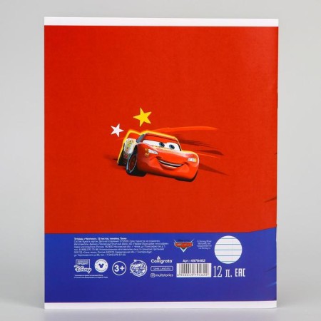 Notebook in a ruler of 12 sheets, 5 types of mix, cover coated cardboard, cars-9