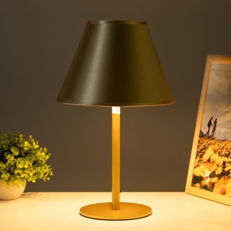Table lamp Oliver 1x15W E27 lemon/champagne 25x25x40cm Risalux-1
