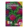 Flowers of flowers are decorative cabbage, mixture, 40 pcs