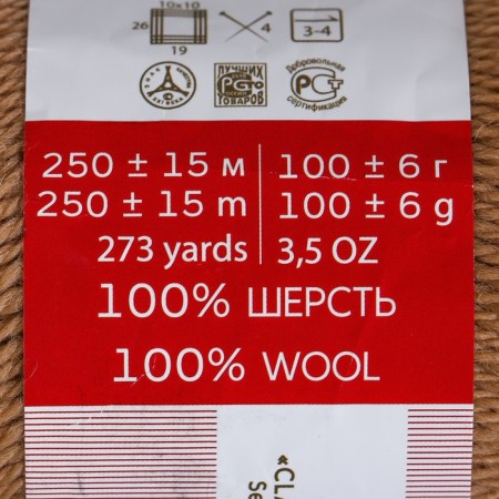 Yarn "Secret of Success" 100% wool 250m/100g (412-distant)-3