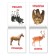 Books "Doman's cards on the paper clip", set, 8 pcs. 20 p.