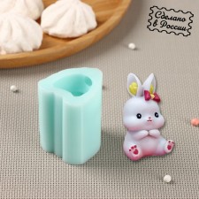 Silicone form 