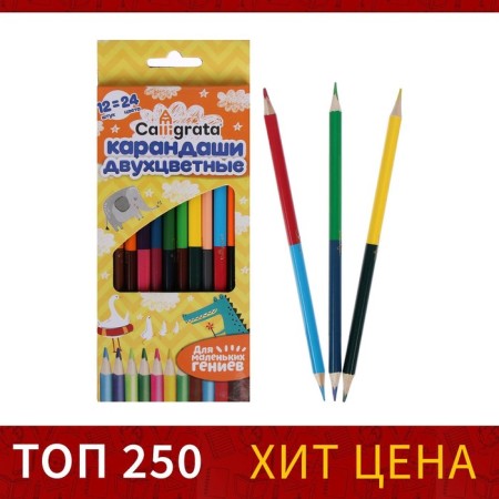 Pencils are bilateral, sharpened, 12 pieces, 24 colors, triangular, wooden body, in a cardboard box