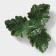 Menzhitsa 3 cells of the leaf, 22.1 × 7.6 cm, green color