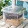 Container for storage with a lid, 4 l, 19.5 × 19.5 × 17.5 cm, transparent