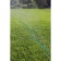Hose for drip irrigation, oozing, d = 12 mm (1/2 "), l = 10 m, Greengo