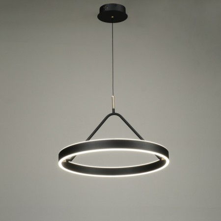 Salerno Light LED 60W 3000-6000K black and gold 50x50x100 cm-1