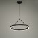 Salerno Light LED 60W 3000-6000K black and gold 50x50x100 cm