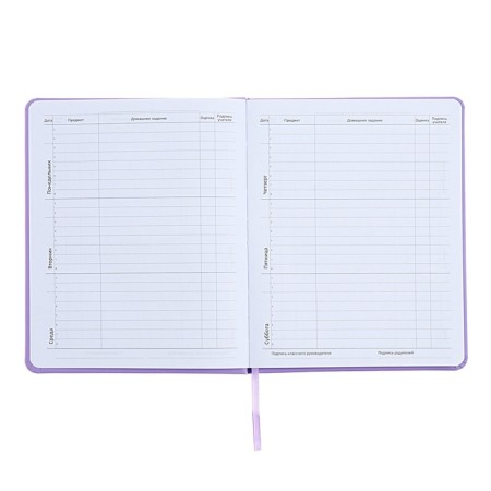 Universal diary for grade 1-11, well, solid cover, artificial leather, silkography, lies, 80 g/m2-6
