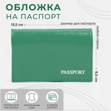 Cover for passport, green color