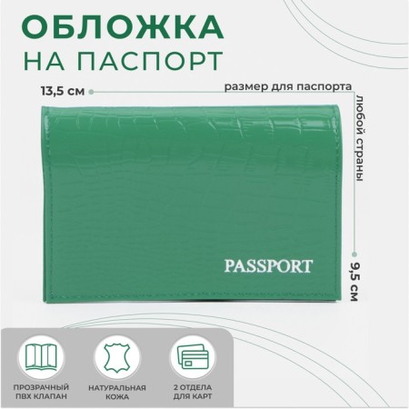 Cover for passport, green color