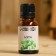 Essential oil "Mint" in a box of 15 ml
