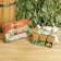 Set of Phytosbor # 1 in a box, 5 pcs of 30 grams