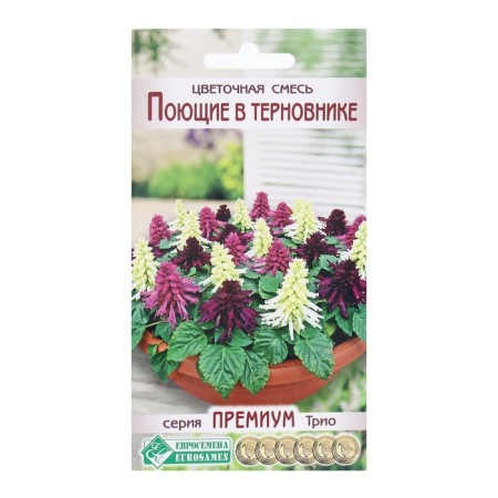 Flower seeds Flower mixture singing in a thorny, 9 pcs