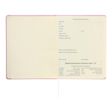 Universal diary for grade 1-11 Cherry Blossom, hard cover, artificial leather, foamy, foil, liesse, 80 g/m2-4
