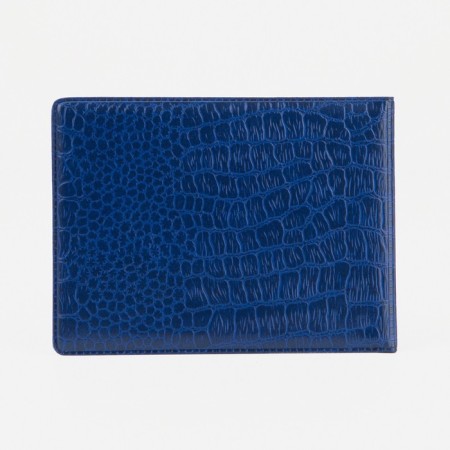 Cover for a student ticket, blue color-1