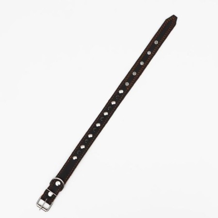 Collar leather two-layer studded, 63 x 3 cm, Osh 40-55 cm, black-2