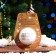 New Year's bomb for the bathtub "Penguin", white, 120 gr.