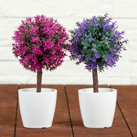 Bonsai in the pot "Color Leaflets" 18 cm, mix-2